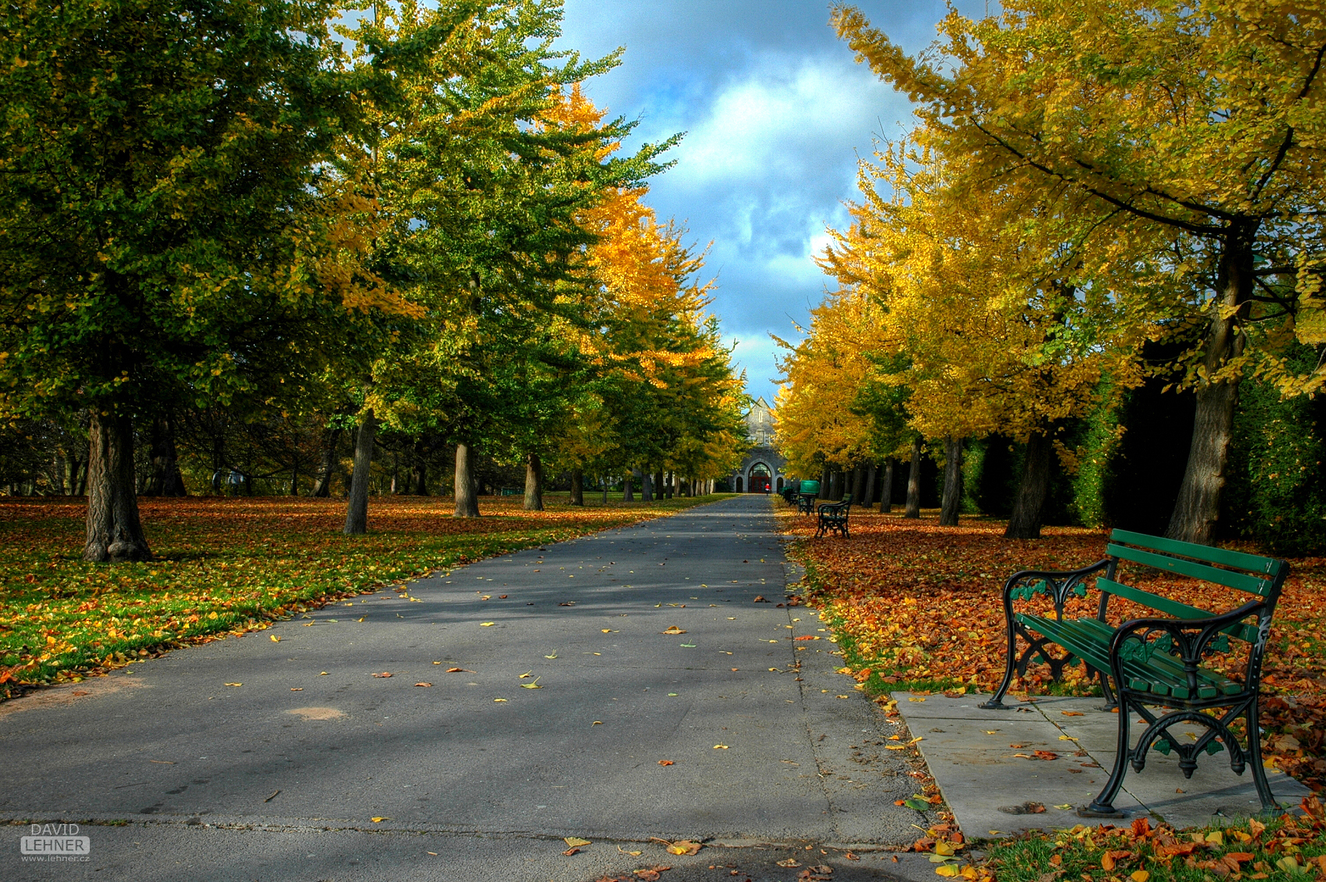 Cardiff Bute park
