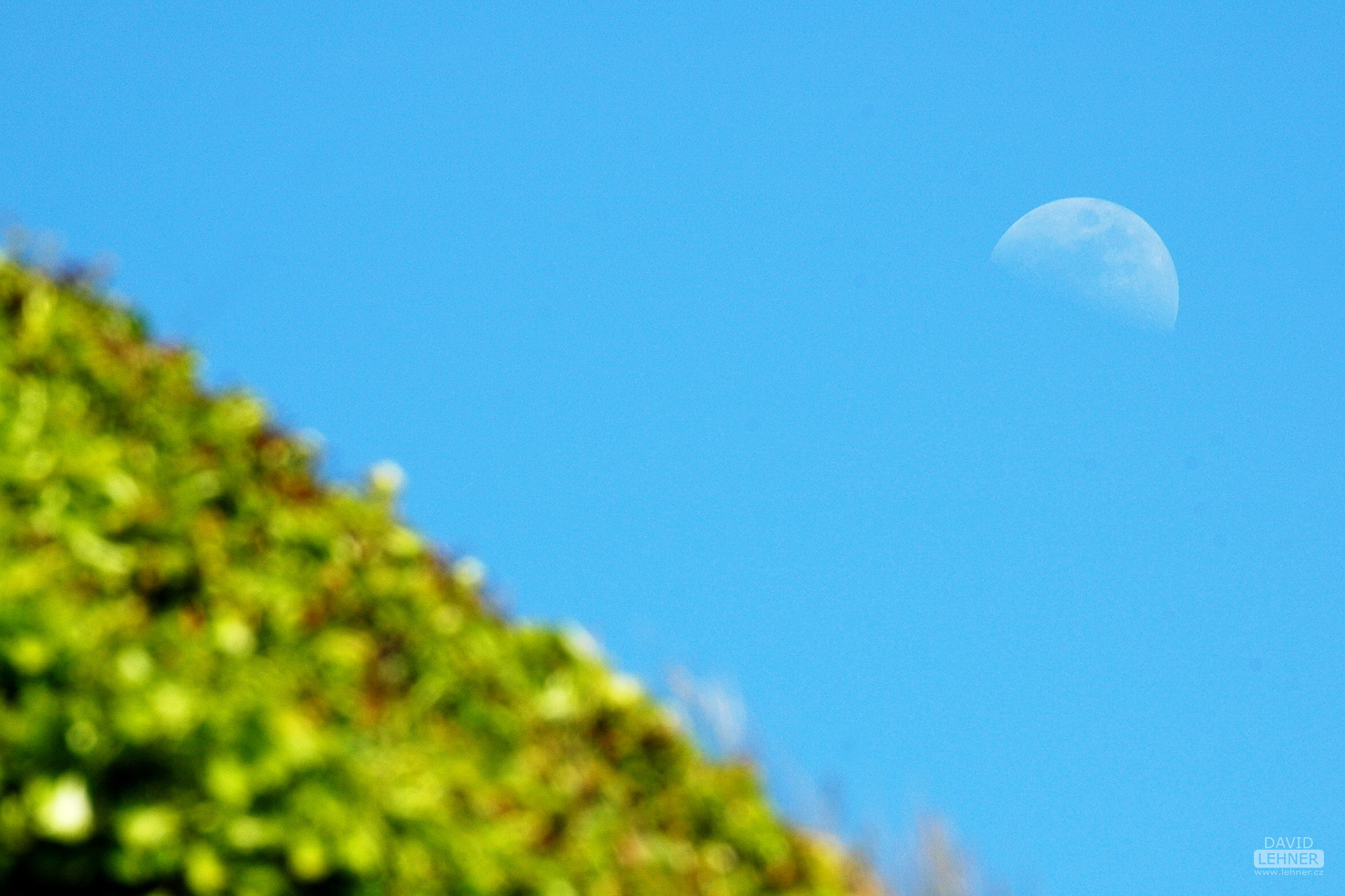 Hill and the Moon