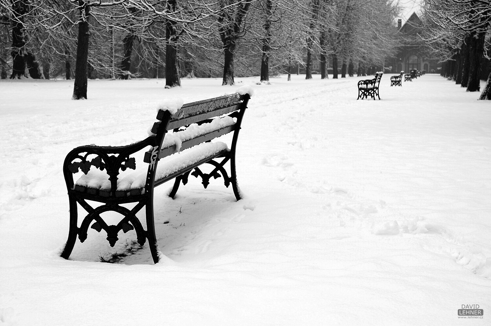 a bench in snowy Cardiff Bute Park