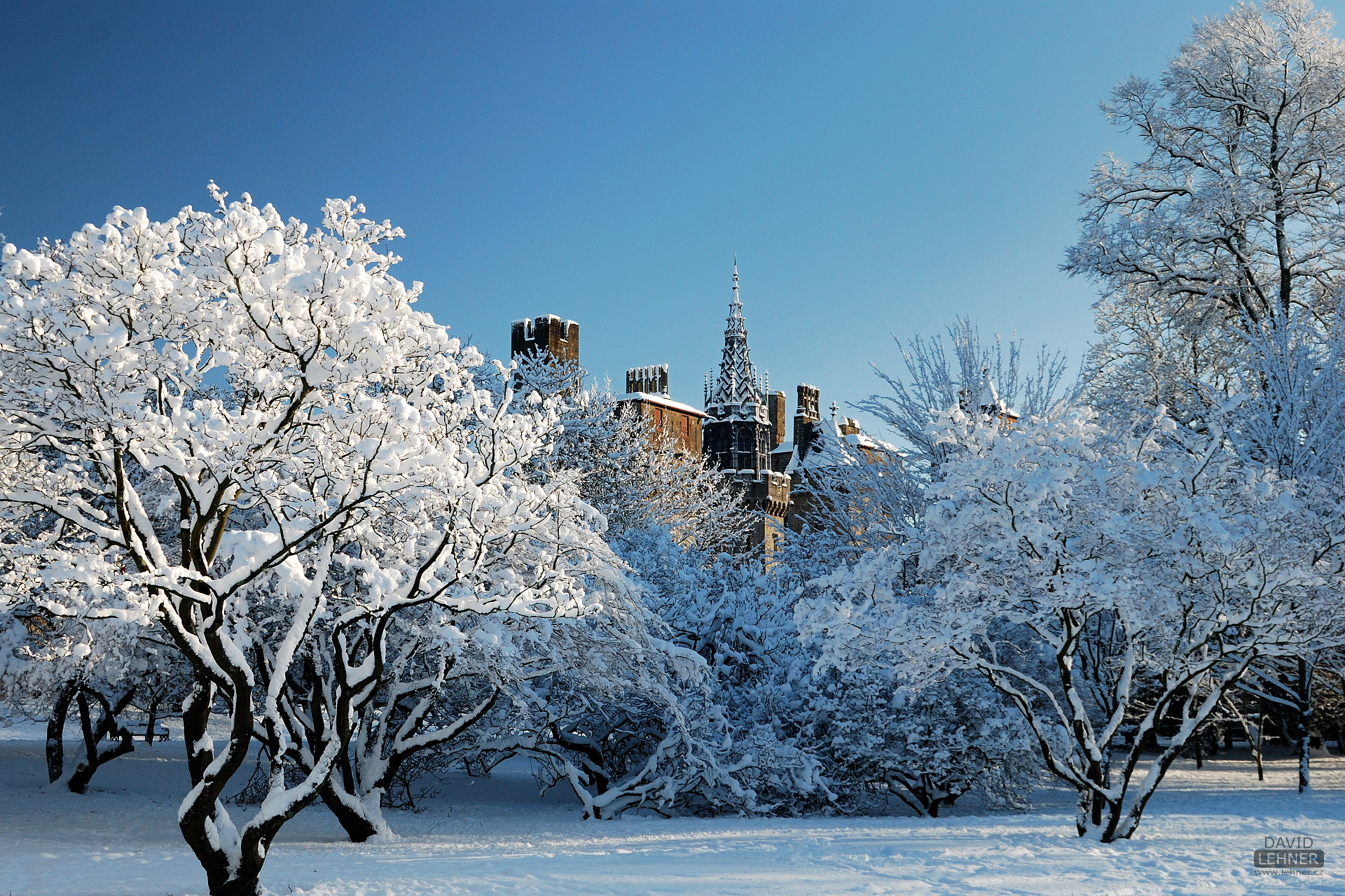 Snowy Bute Park and the Castle