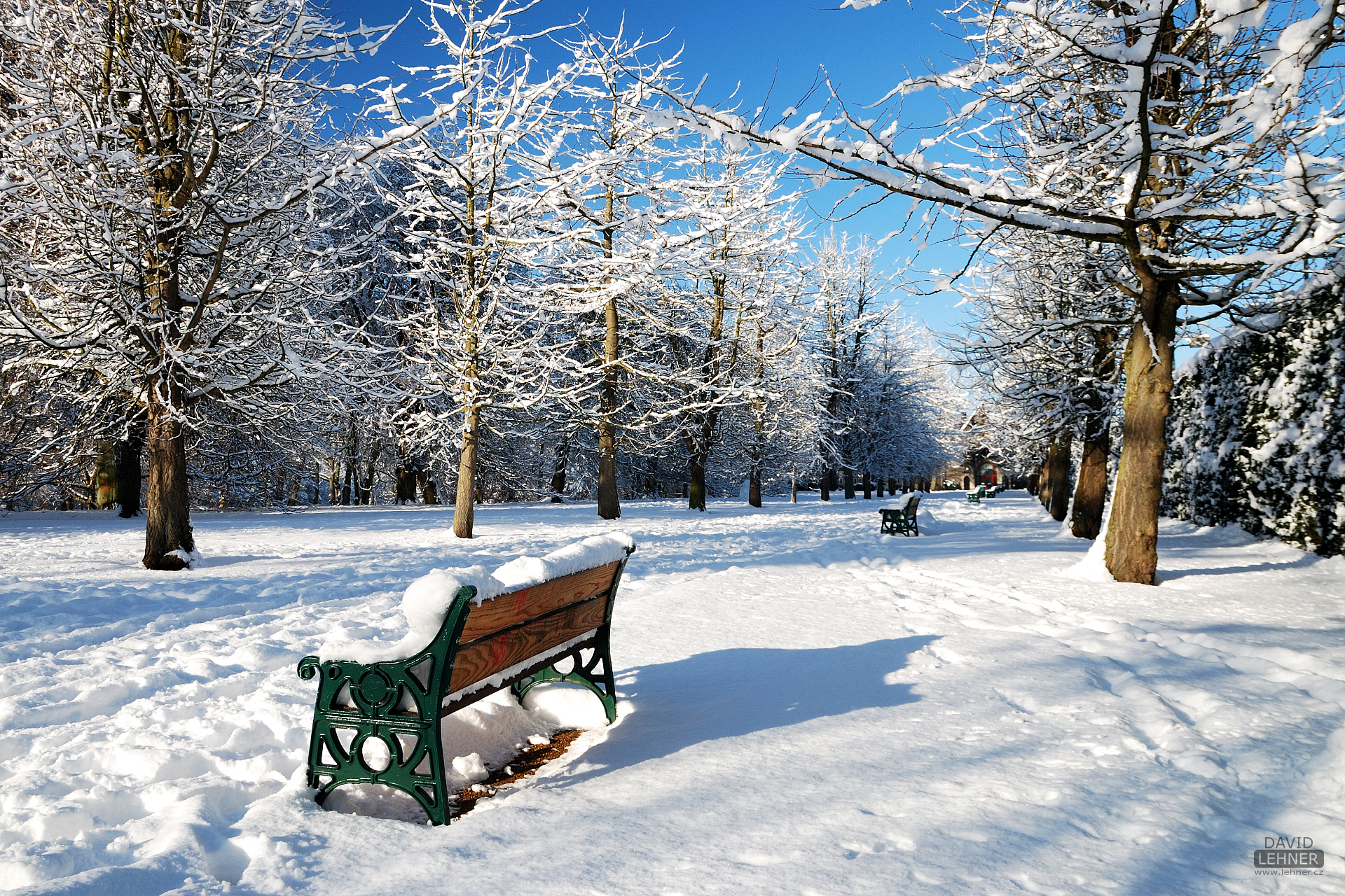 Snowy Bute Park