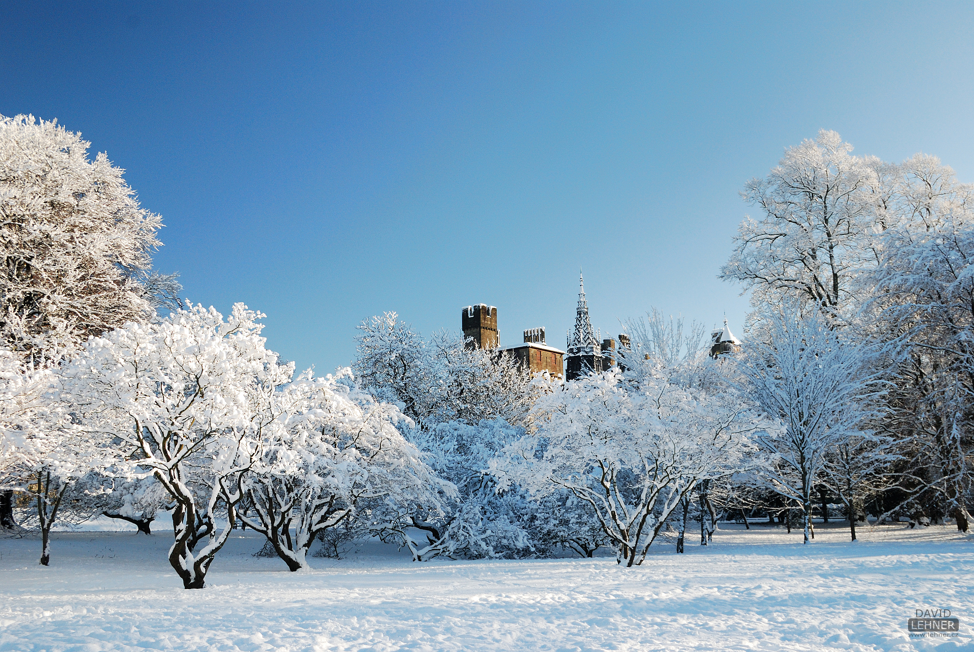 Snowy Bute Park and the Castle