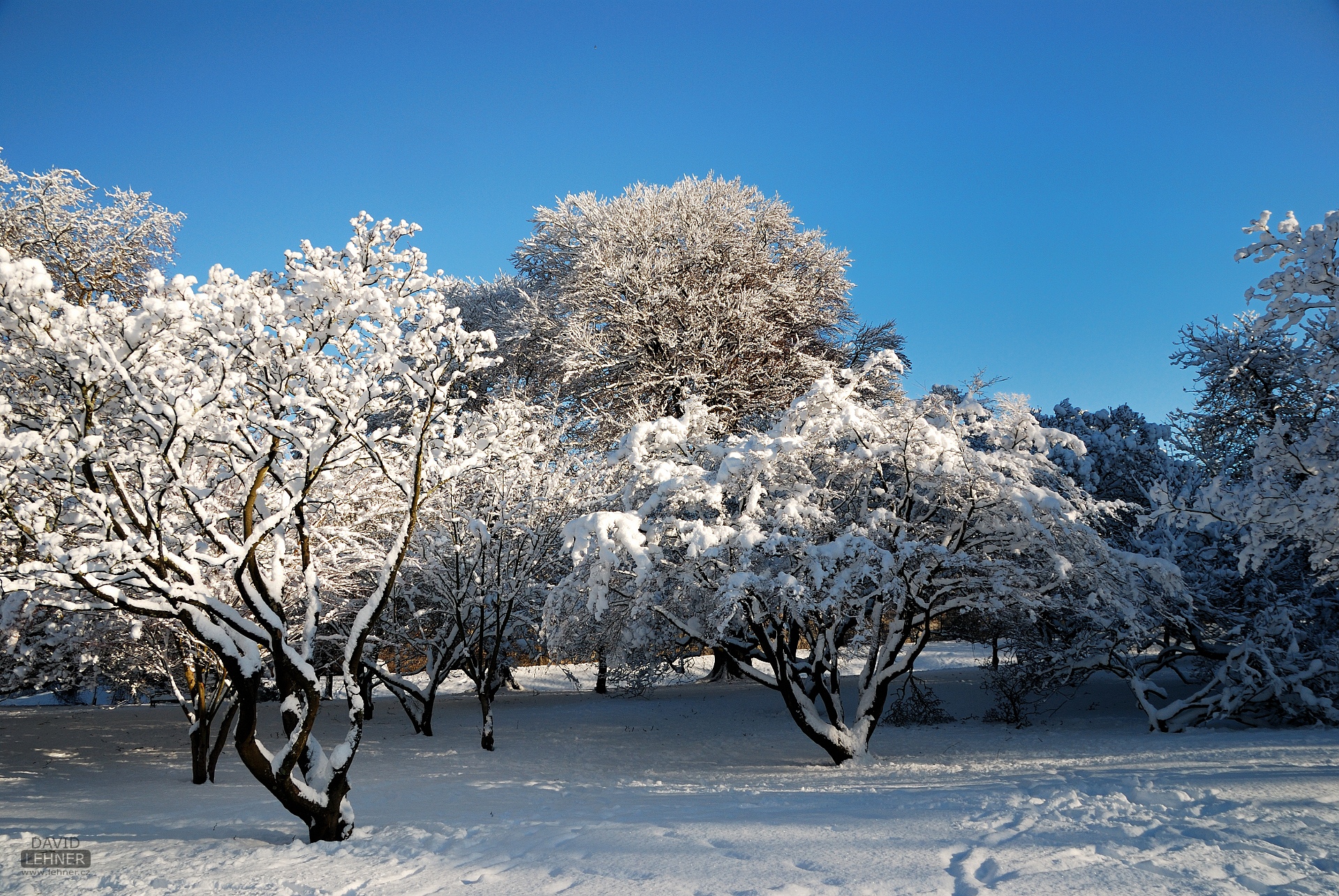 Snowy Bute Park