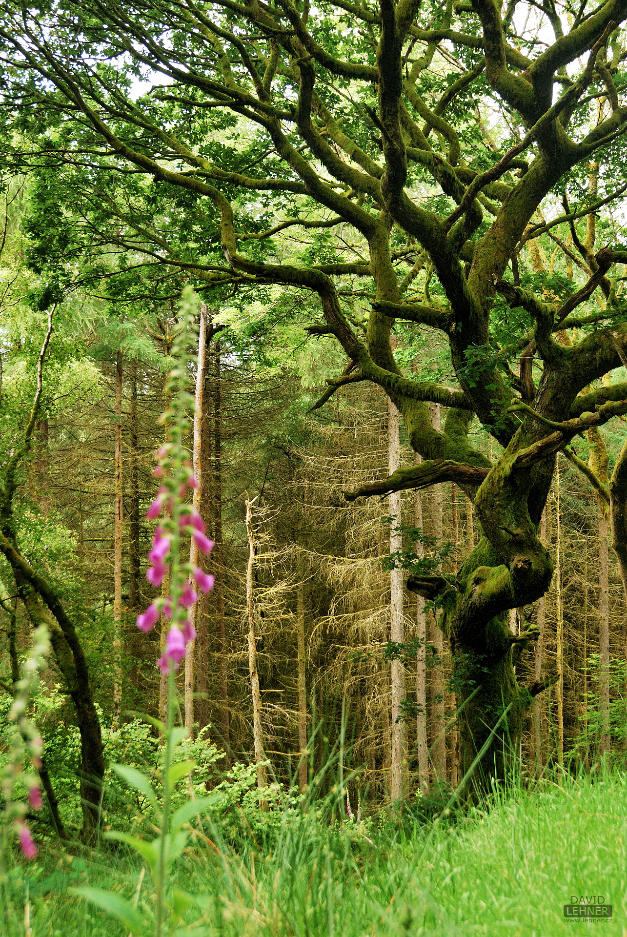 Brecon Beacons