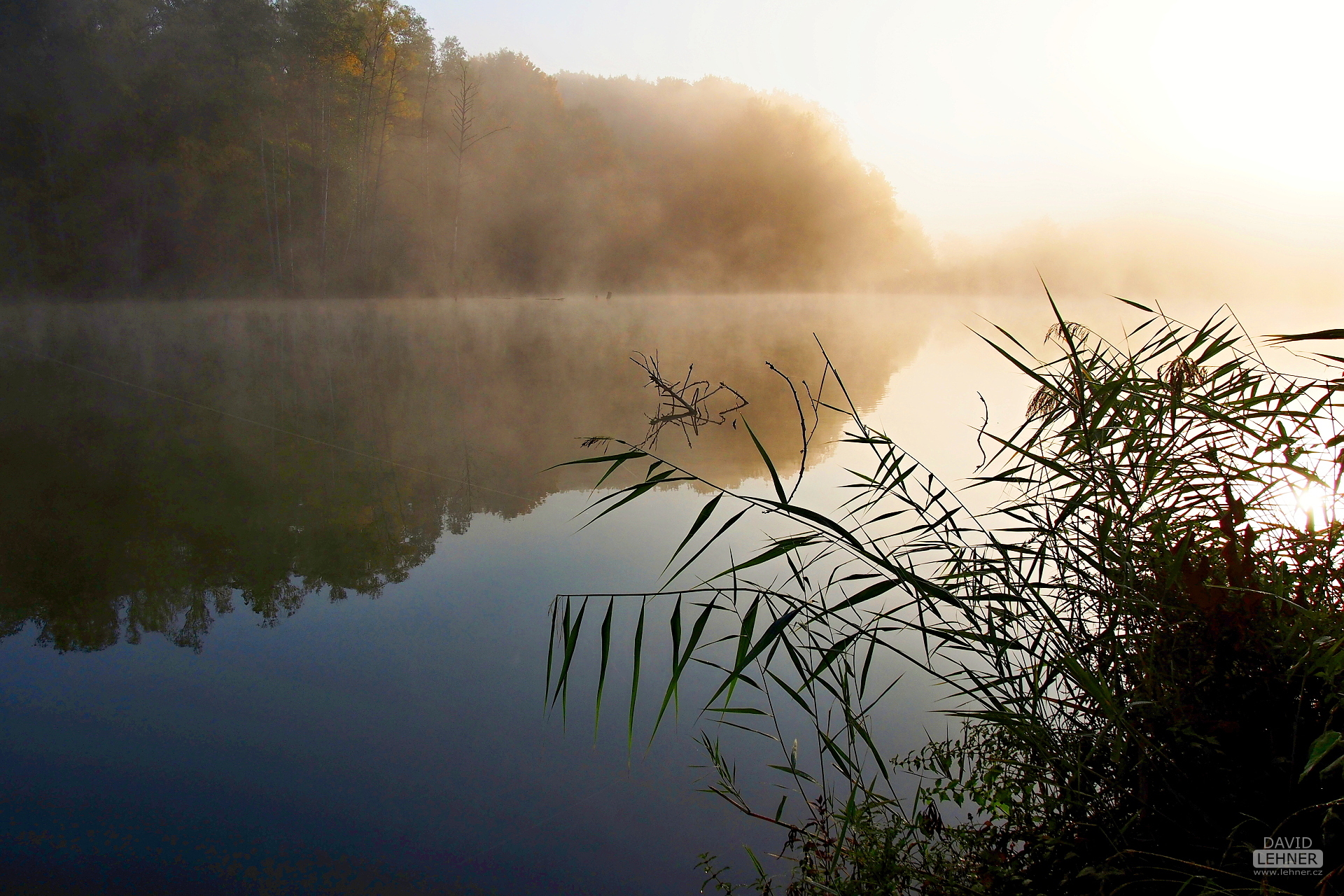 Misty Lake