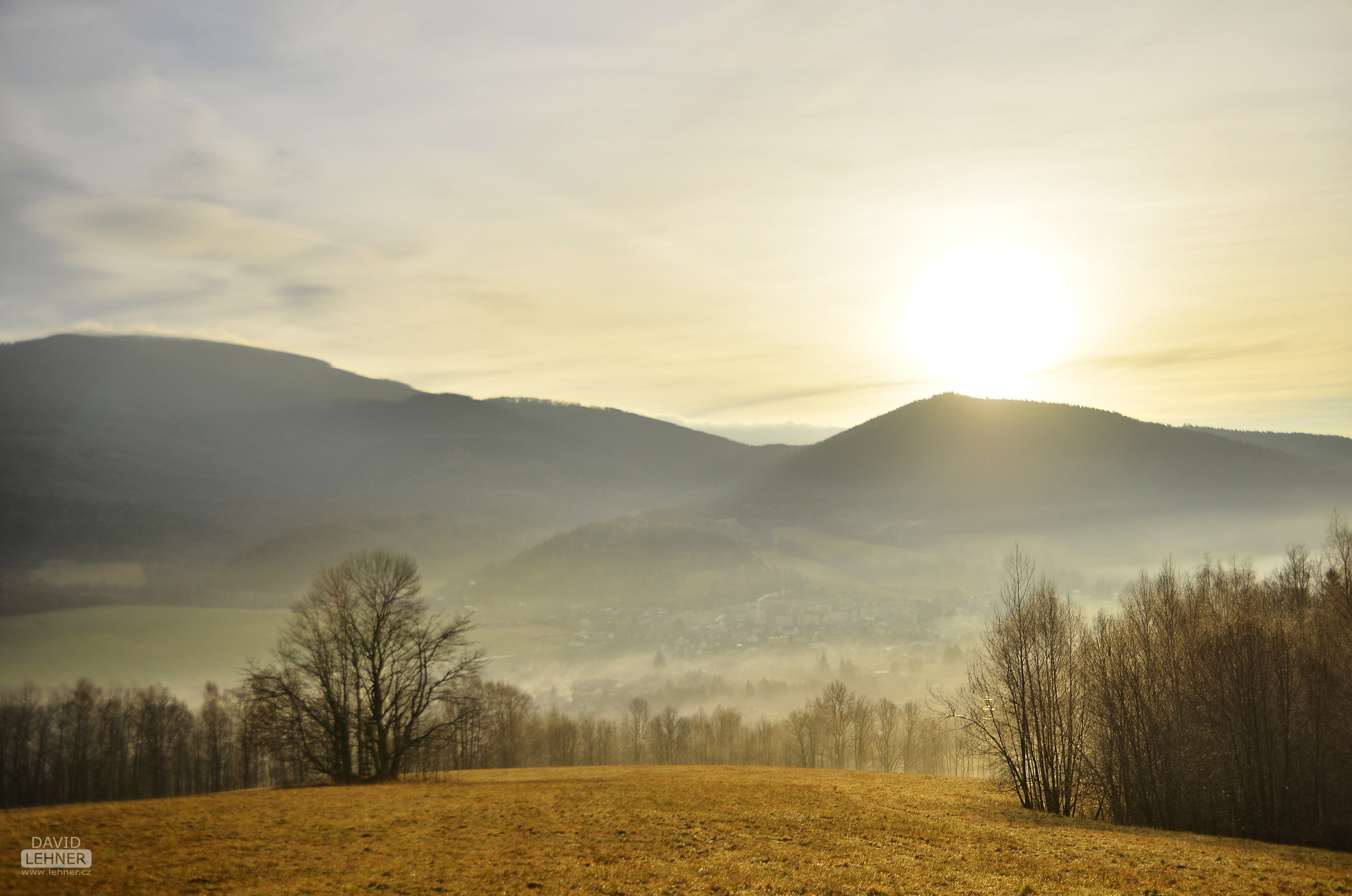 Landscape