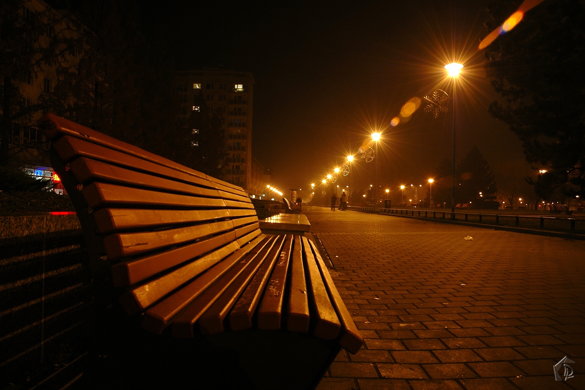 Bench at night