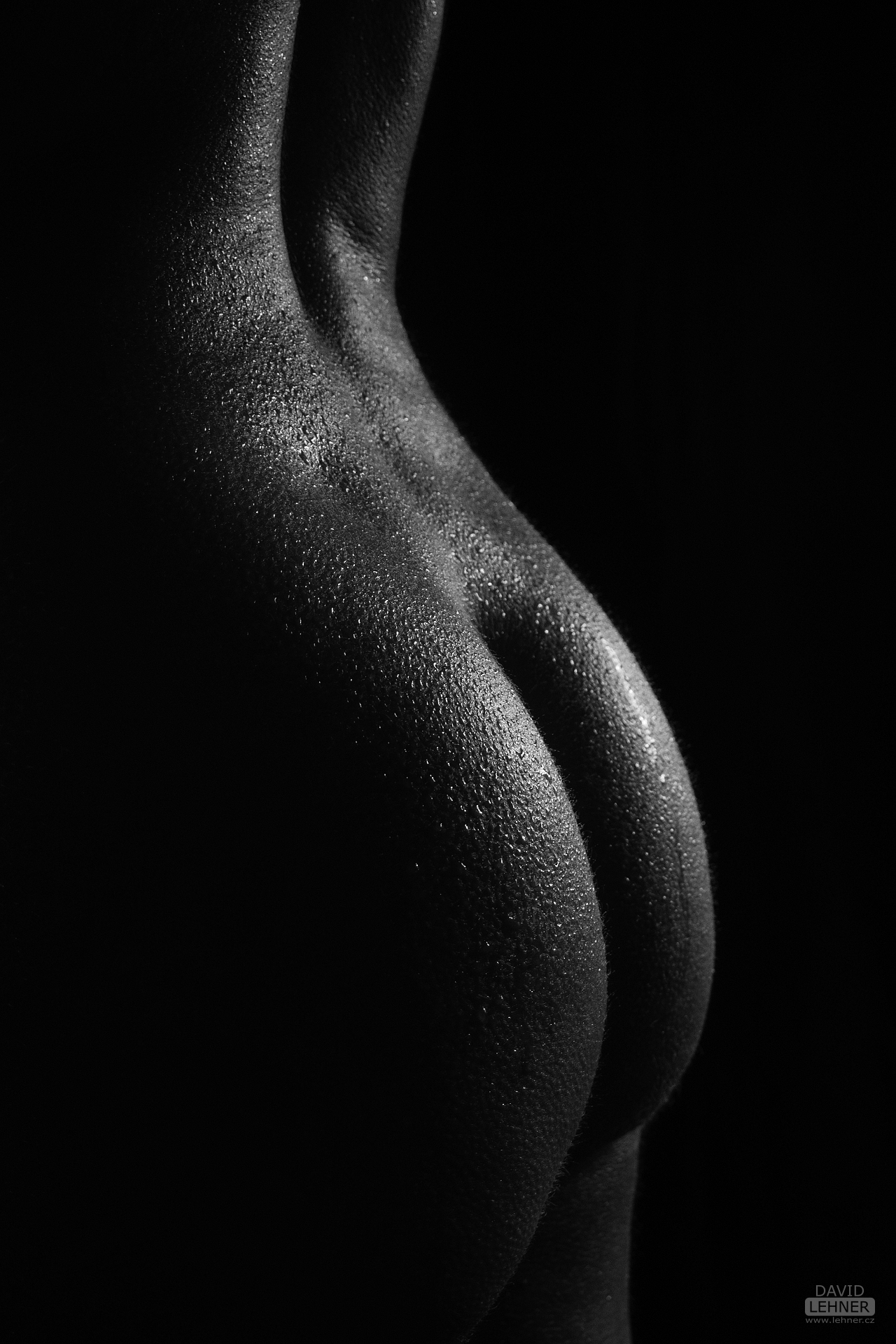 Lights and curves