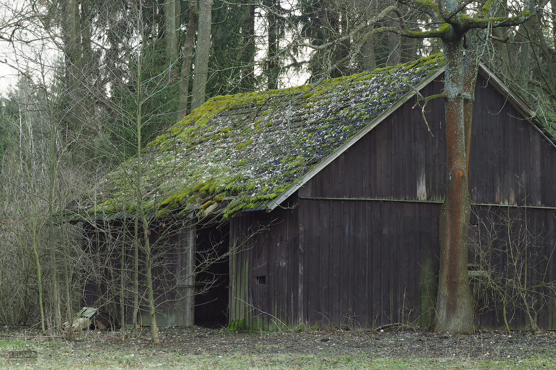 ravages of time