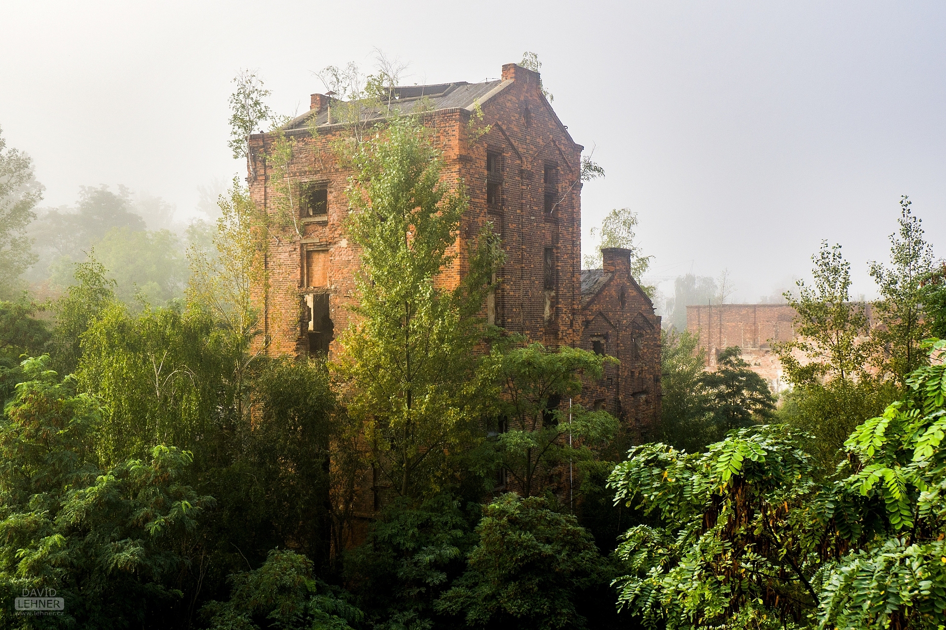 ravages of time