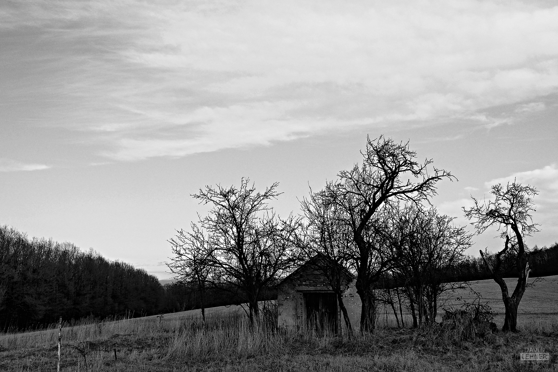ravages of time